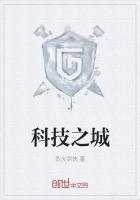 科技之城作文400字