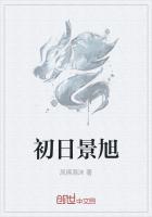 初景什么意思