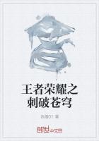 王者荣耀纯净苍穹什么时候用