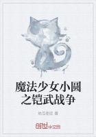 魔法少女小圆战斗场景