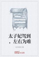 太子妃升职记和萌妃驾到