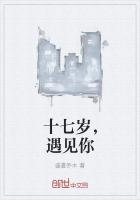 17岁那年遇见你