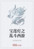 造梦西游4宝莲灯怎么样