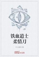 铁血柔情的电视剧
