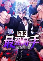 终极高手叶枫