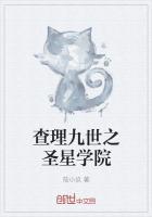 查理九世之仙灵学院