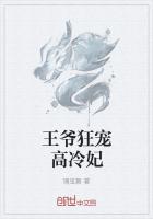 高冷王爷电视剧