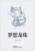 梦想龙珠怎么