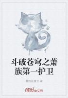 斗破苍穹萧族成员实力排行