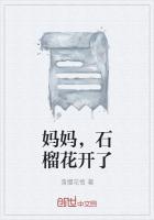 石榴花开向未来绘画作品