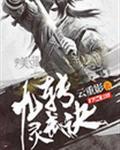 灵武九天主角几个老婆