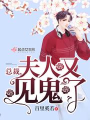 总裁夫人又闯祸啦