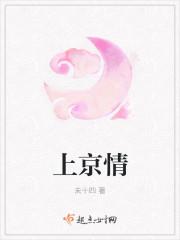 上京情宫史