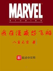 我在漫威怼飞船txt