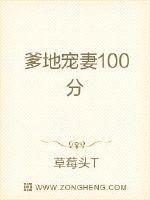 爹地宠妻100分司夜爵