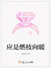 应是南枝向暖免费阅读