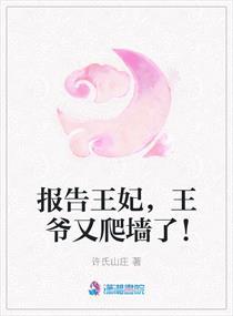 王妃又爬墙跑了