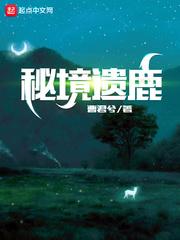 秘境鹿与森林加盟