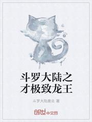 斗罗大陆主角老婆是银龙王