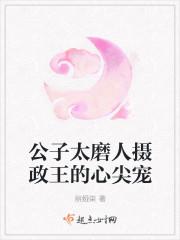 公子太美简介