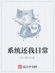 系统日常文