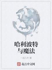 哈利波特与魔法石海报