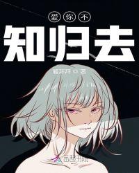 人面不知归去