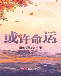 或许命运的签只让我们遇见歌词
