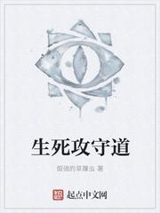 飞龙攻守道1