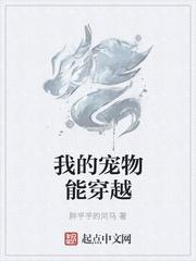 我的宠物可以无限进化