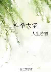 科举大佬TXT