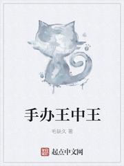 王中王手套