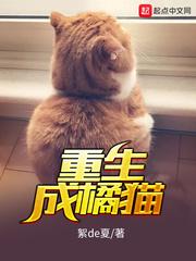 重生成橘猫后和三花猫在一起