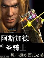 阿斯加德的圣骑士88读书网