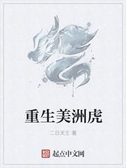 印美洲虎战机坠毁