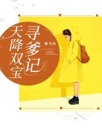 天降双宝寻爹记txt