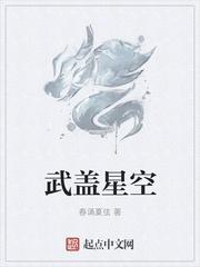 武碎星空