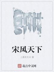 宋风天下起点中文网
