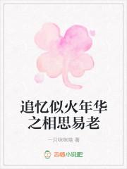 追忆似水年华是吗