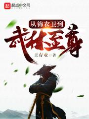 从锦衣卫到武林至尊TXT