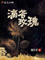 滴答玫瑰 谢其零