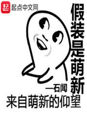 假装是萌新txt