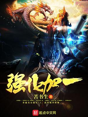 强化加11