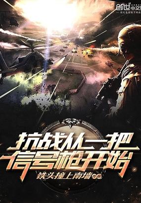 抗战从一把信号枪开始txt