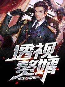透视赘婿王恒