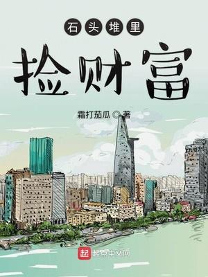 石头堆里捡财富TXT