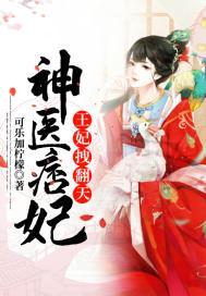 神医毒妃之二嫁王妃