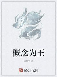 概念为王书籍