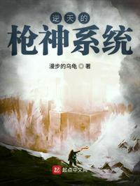 逆天的枪神系统百度百科