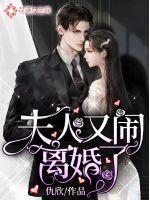 夫人又闹离婚了免费阅读(小凤凰)